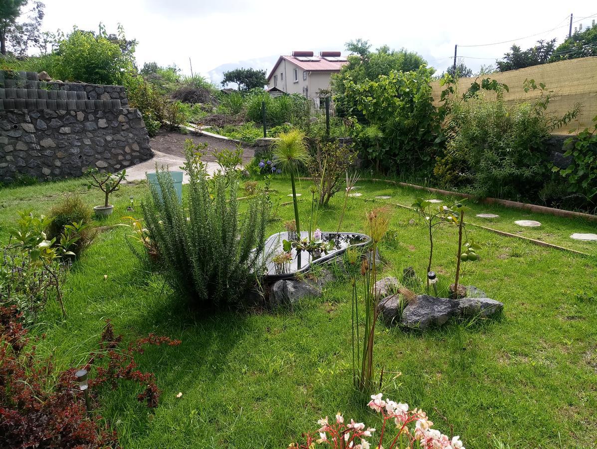 Les Jardins Creoles Apartman Cilaos Kültér fotó